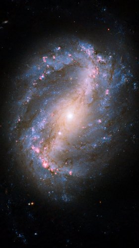 Обои Спиральная галактика с перемычкой ngc 6217, звезда, Галактика, спиральная Галактика, нгк 6217 для Google Pixel XL, Meizu Pro 7, Nokia 8, HTC U, Huawei P10 Quad HD, заставка, 1440x2560 картинка