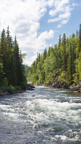 Обои лесная река, реки, водоток, голубиная река, Флэтхед национальный лес для Google Pixel XL, Meizu Pro 7, Nokia 8, HTC U, Huawei P10 Quad HD, заставка, 1440x2560 картинка