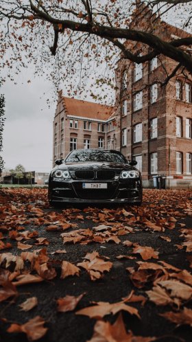 Обои бмв м3 осенью, bmw, легковые автомобили, Байерише Моторен Верке АГ, 2016 БМВ м3 для Google Pixel XL, Meizu Pro 7, Nokia 8, HTC U, Huawei P10 Quad HD, заставка, 1440x2560 картинка
