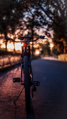Обои дорожный велосипед, горный велосипед, Велоспорт, Фэт-байк, велосипед с фиксированной передачей для Google Pixel XL, Meizu Pro 7, Nokia 8, HTC U, Huawei P10 Quad HD, заставка, 1440x2560 картинка