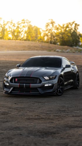 Обои Форд Мустанг Шелби GT500, ford, Шелби Мустанг, легковые автомобили, компания Ford для Google Pixel XL, Meizu Pro 7, Nokia 8, HTC U, Huawei P10 Quad HD, заставка, 1440x2560 картинка