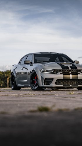 Обои дорога, Додж зарядное устройство 2022 года, dodge, Додж Чарджер СРТ мегеру, легковые автомобили для Google Pixel XL, Meizu Pro 7, Nokia 8, HTC U, Huawei P10 Quad HD, заставка, 1440x2560 картинка