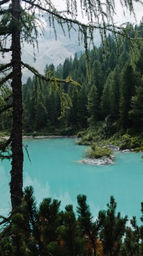 Обои водоем, озеро, елово пихтовые леса, старовозрастные леса, окружающая среда для Google Pixel XL, Meizu Pro 7, Nokia 8, HTC U, Huawei P10 Quad HD, заставка, 1440x2560 картинка