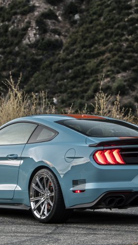 Обои Спойлер roush mustang 2019, Шелби Мустанг, производительность Раш, Форд Мустанг, Мустанг Roush для Google Pixel XL, Meizu Pro 7, Nokia 8, HTC U, Huawei P10 Quad HD, заставка, 1440x2560 картинка
