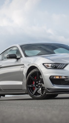 Обои 2020 mustang gt350r, 2020 Форд Мустанг, Шелби Мустанг, компания Ford, легковые автомобили для Google Pixel XL, Meizu Pro 7, Nokia 8, HTC U, Huawei P10 Quad HD, заставка, 1440x2560 картинка