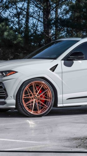 Обои авангард f538, 2019 Ламборджини Урус, легковые автомобили, Lamborghini aventador s 2019 года, Ламборджини для Google Pixel XL, Meizu Pro 7, Nokia 8, HTC U, Huawei P10 Quad HD, заставка, 1440x2560 картинка
