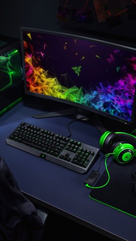 Обои графический дизайн, Компания Razer BlackWidow Предусмотрено, электронное устройство, настройка мыши Razer, компьютерная игра для Google Pixel XL, Meizu Pro 7, Nokia 8, HTC U, Huawei P10 Quad HD, заставка, 1440x2560 картинка