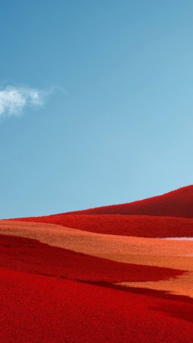 Обои Microsoft Surface, Microsoft Surface Pro, поверхность pro x, Поверхность Pro 7, Surface Pro 4 для Google Pixel XL, Meizu Pro 7, Nokia 8, HTC U, Huawei P10 Quad HD, заставка, 1440x2560 картинка