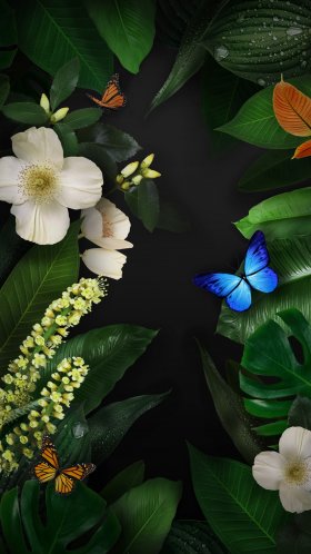 Обои Huawei, Huawei Mate, Huawei Mate 10, зеленый коврик, Huawei Mate 10 Pro для Google Pixel XL, Meizu Pro 7, Nokia 8, HTC U, Huawei P10 Quad HD, заставка, 1440x2560 картинка
