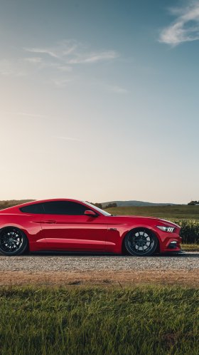 Обои спорткар, Форд Мустанг, авто, Шелби Мустанг, компания Ford для Google Pixel XL, Meizu Pro 7, Nokia 8, HTC U, Huawei P10 Quad HD, заставка, 1440x2560 картинка