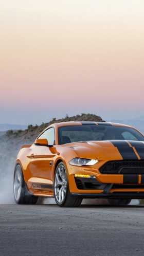 Обои авто, Шелби Мустанг, Форд Мустанг, ford gt, спорткар для Google Pixel XL, Meizu Pro 7, Nokia 8, HTC U, Huawei P10 Quad HD, заставка, 1440x2560 картинка