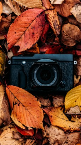 Обои осень, камера, лист, красочность, натюрморт для Google Pixel XL, Meizu Pro 7, Nokia 8, HTC U, Huawei P10 Quad HD, заставка, 1440x2560 картинка