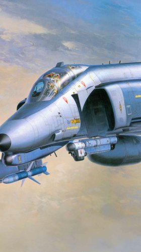 Обои McDonnell Douglas F-4 Phantom II, Дикий Хорек, корпорация хасегава, самолеты, самолет для Google Pixel XL, Meizu Pro 7, Nokia 8, HTC U, Huawei P10 Quad HD, заставка, 1440x2560 картинка