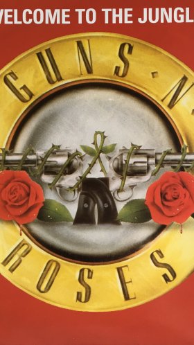 Обои Guns N Roses, тяжелый рок, Добро пожаловать в джунгли, пистолеты и розы добро пожаловать в джунгли, Appetite for Destruction для Google Pixel XL, Meizu Pro 7, Nokia 8, HTC U, Huawei P10 Quad HD, заставка, 1440x2560 картинка